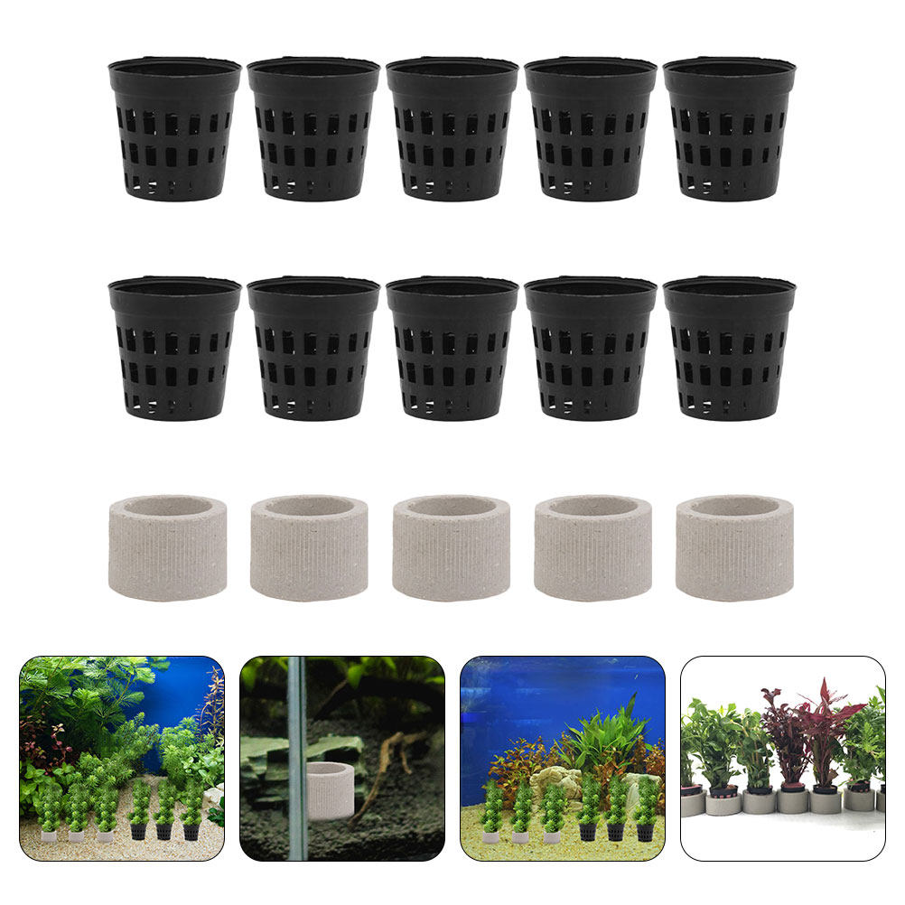 Aquarium Planted Set Up - 1Set Aquarium Water Plant Fixing Cup