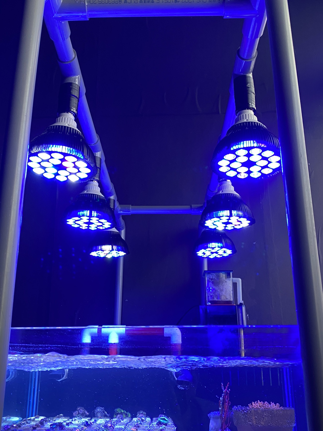 Aquarium Plant Iron - Full Spectrum LED Aquarium Reef Light