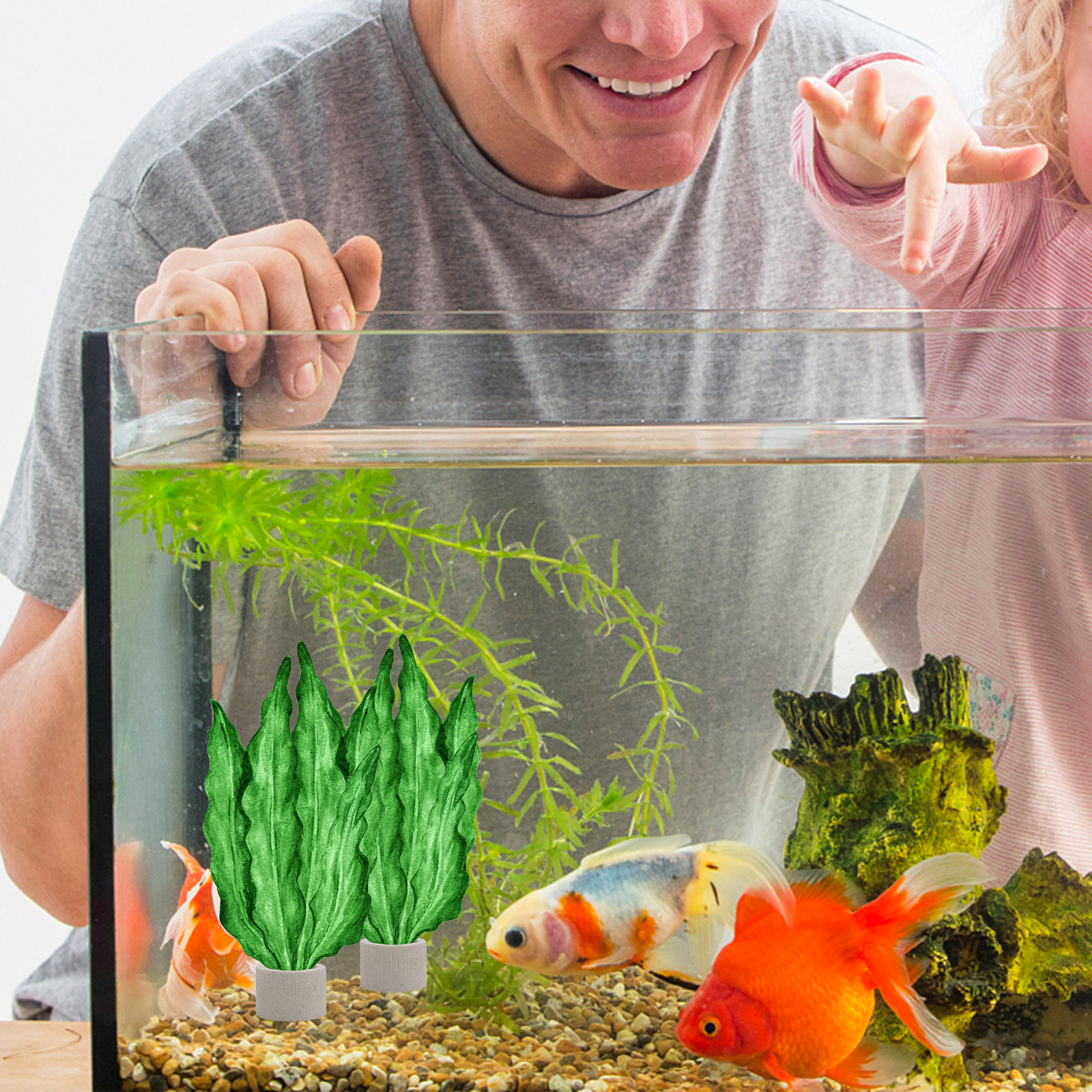 Aquarium Planted Tank - 5Pcs Premium Pottery Water Plant Fixed