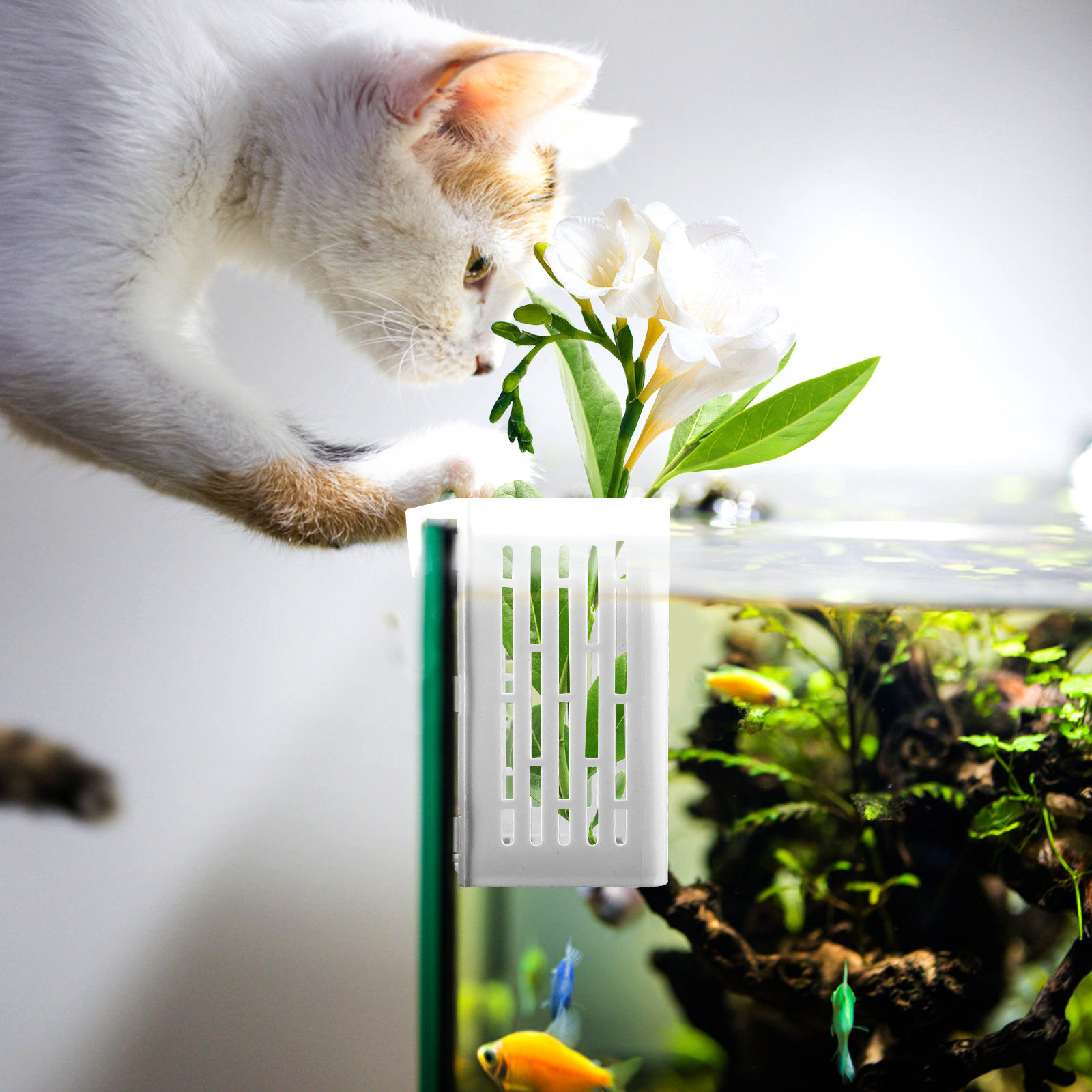 Aquarium Planted Set Up - 2Pcs Aquatic Plant Basket Hanging Aquarium
