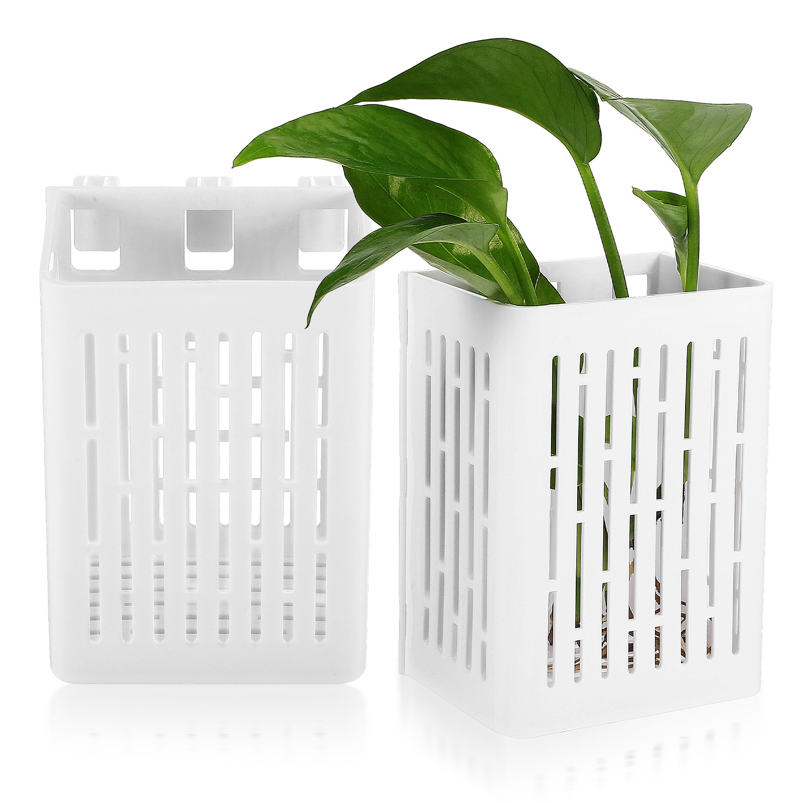 Aquarium Planted Set Up - 2Pcs Hanging Aquarium Planter Basket Aquatic