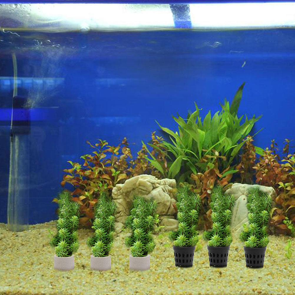 1Set Aquarium Water Plant Fixi - огляд і ціна Aquarium Planted Set Up