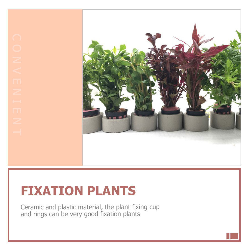 1Set Aquarium Water Plant Fixi - огляд і ціна Aquarium Planted Set Up