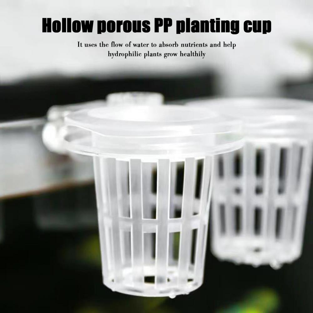Aquarium Plant Holder Wall-Mou - огляд і ціна Aquarium Plant Holder