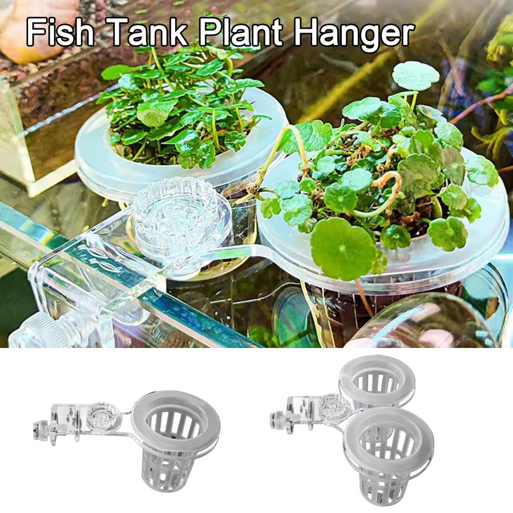 Aquarium Plant Holder Wall-Mou - огляд і ціна Aquarium Plant Holder