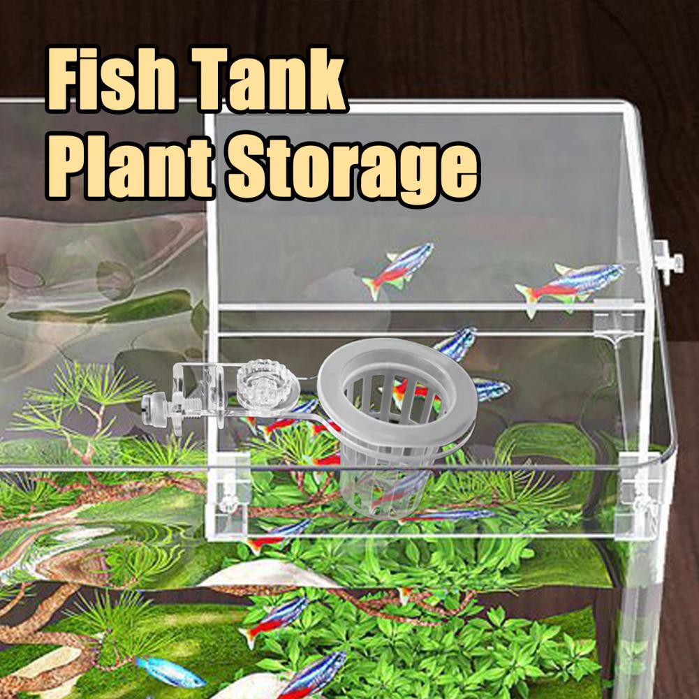 Aquarium Plant Holder Wall-Mou - огляд і ціна Aquarium Plant Holder