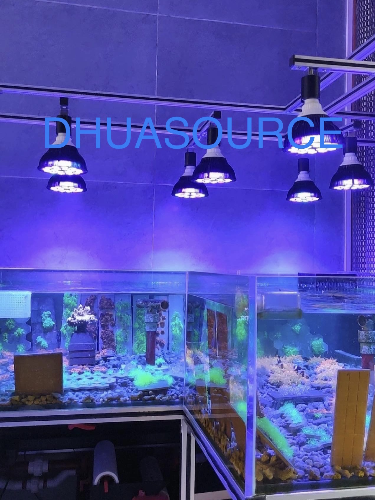 Full Spectrum LED Aquarium Ree - огляд і ціна Aquarium Plant Iron