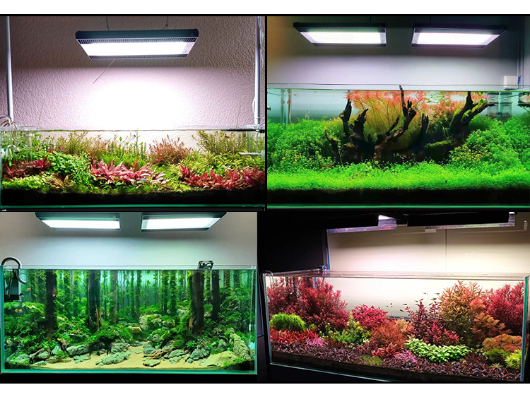WEEK AQUA A430Pro LED Aquarium - огляд і ціна Aquarium Plant Iron