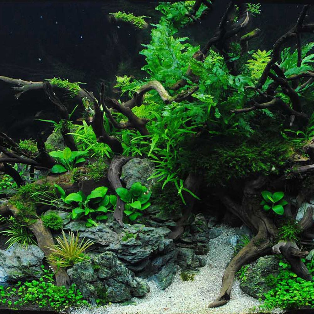 N1N Wood Reptile Tank Backgrou - огляд і ціна Aquarium Planted Wood