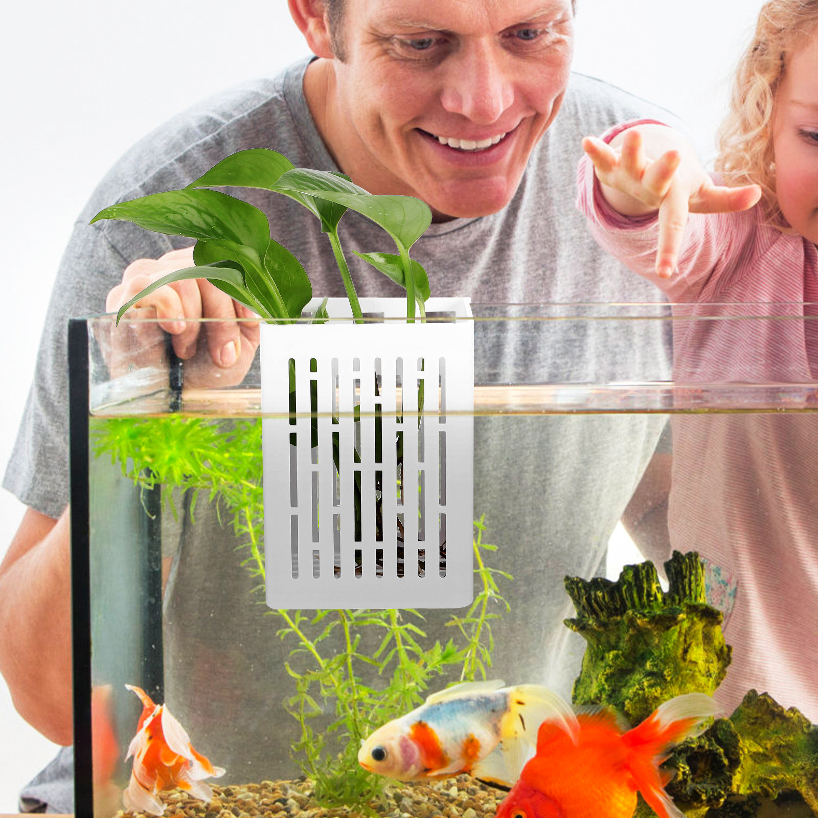 2Pcs Aquatic Plant Holder Hang - огляд і ціна Aquarium Planted Set Up