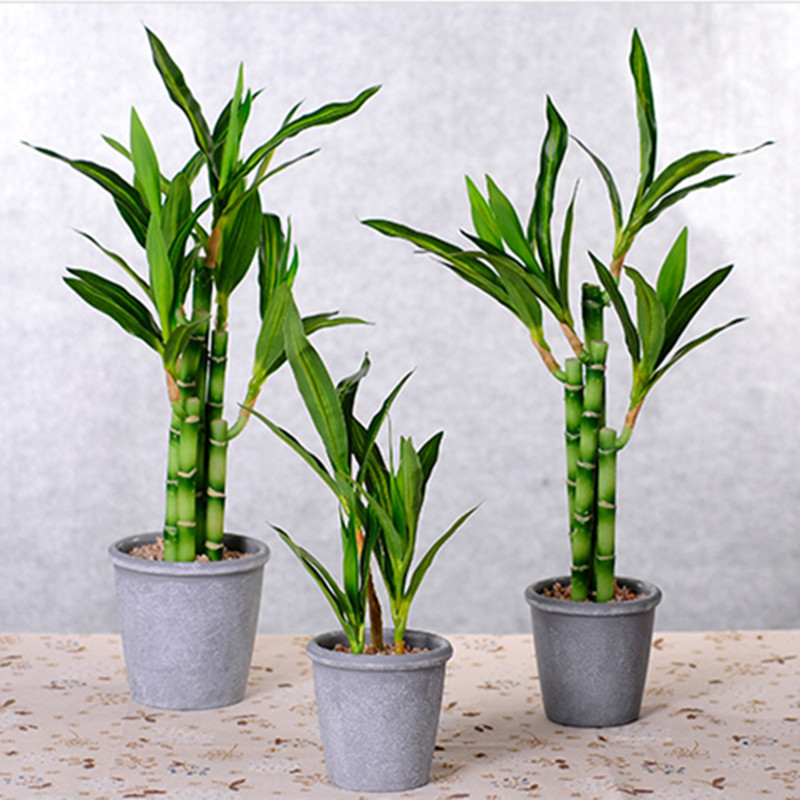 New 40cm rFtificial Lucky Bamb - огляд і ціна Aquarium Plant In Pot