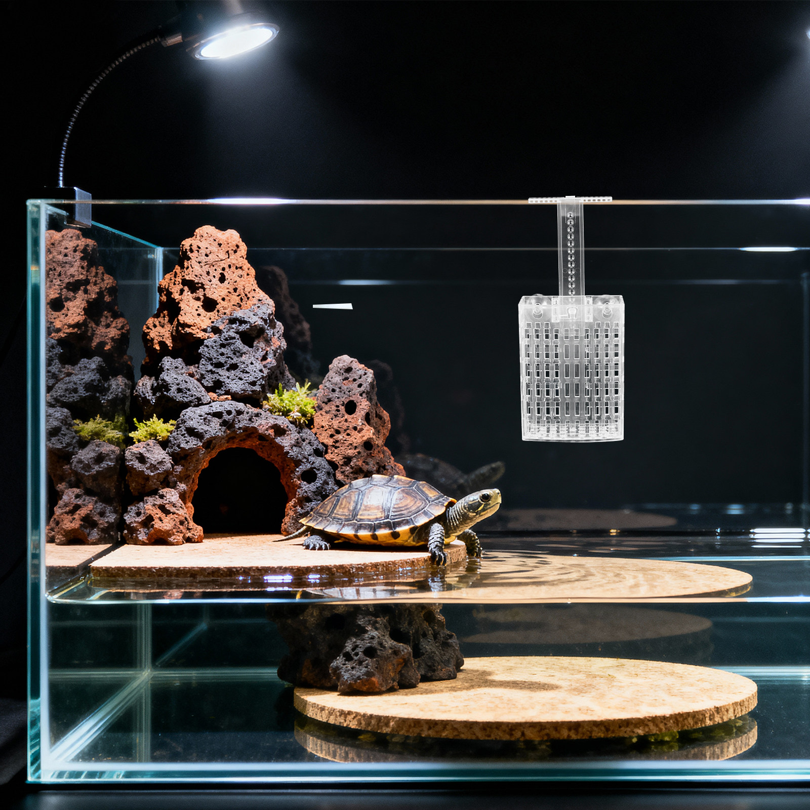 2Set Adjustable Aquarium Plant - огляд і ціна Aquarium Plant Holder