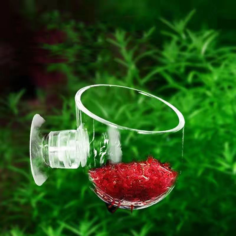 Fish Tank Red Worm Feeder Cup  - огляд і ціна Aquarium Plant Red