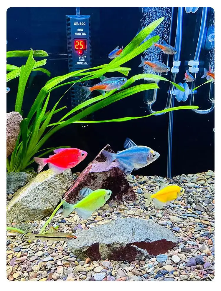 Natural Stream Sand Home Decor - огляд і ціна Aquarium Sand White