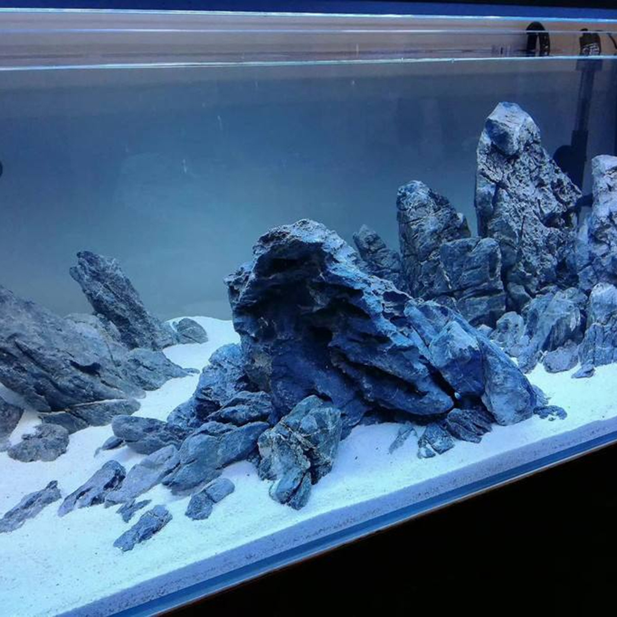 500G White Beauty Quartz Sand  - огляд і ціна Aquarium Sand White