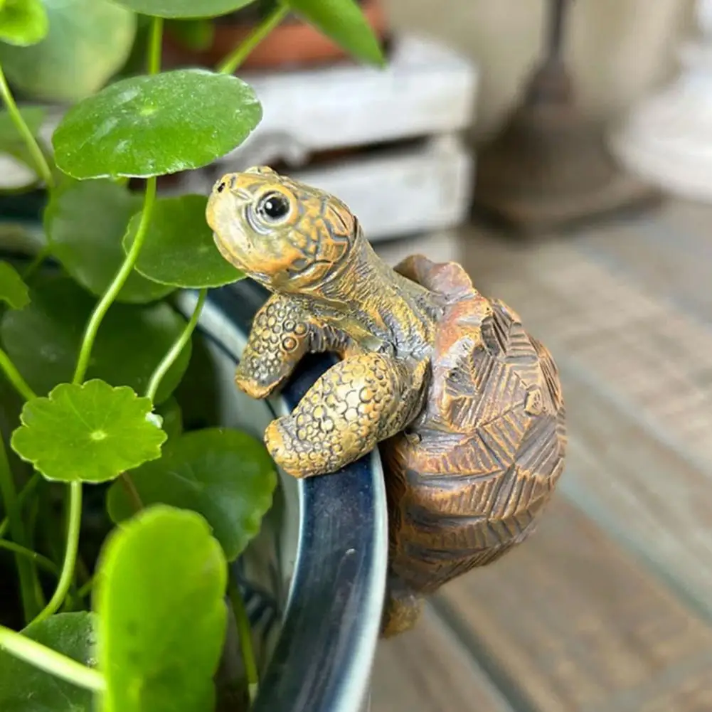 Fishing Turtle Hanging Turtle  - огляд і ціна Aquarium Plant In Pot