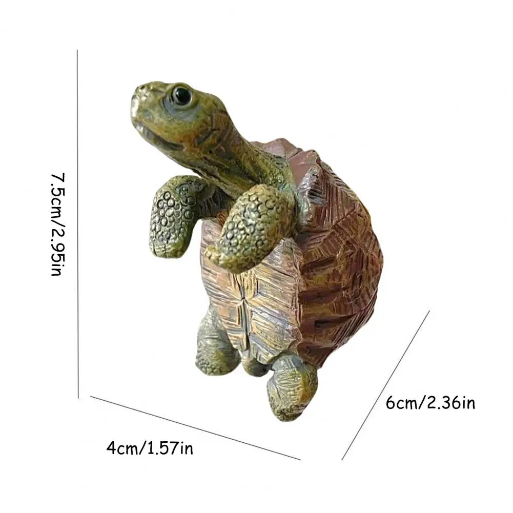 Fishing Turtle Hanging Turtle  - огляд і ціна Aquarium Plant In Pot