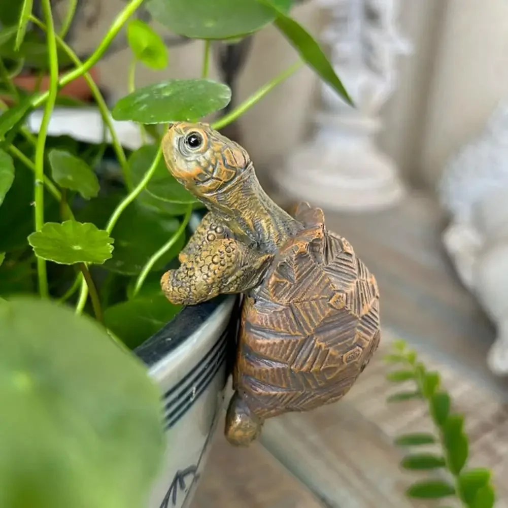 Fishing Turtle Hanging Turtle  - огляд і ціна Aquarium Plant In Pot