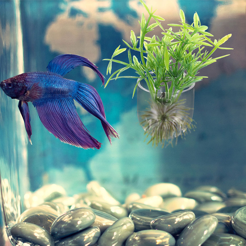 10Pcs Acrylic Aquarium Planter - огляд і ціна Aquarium Planted Set Up