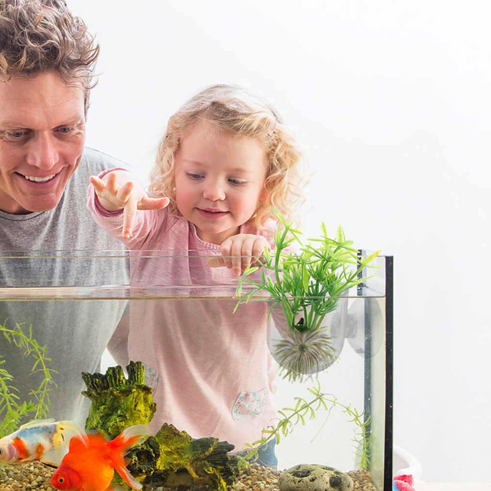 10Pcs Acrylic Aquarium Planter - огляд і ціна Aquarium Planted Set Up
