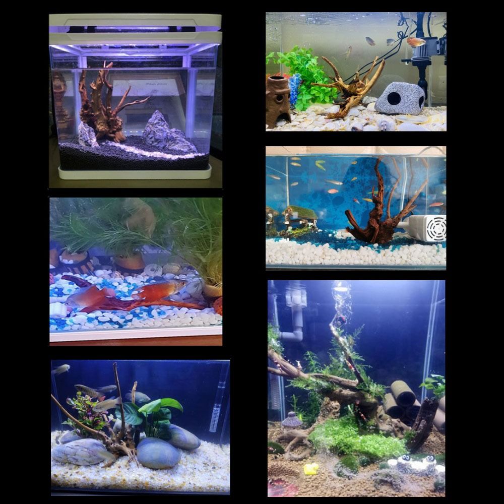 Natural Tree Trunk Aquarium De - огляд і ціна Aquarium Planted Wood