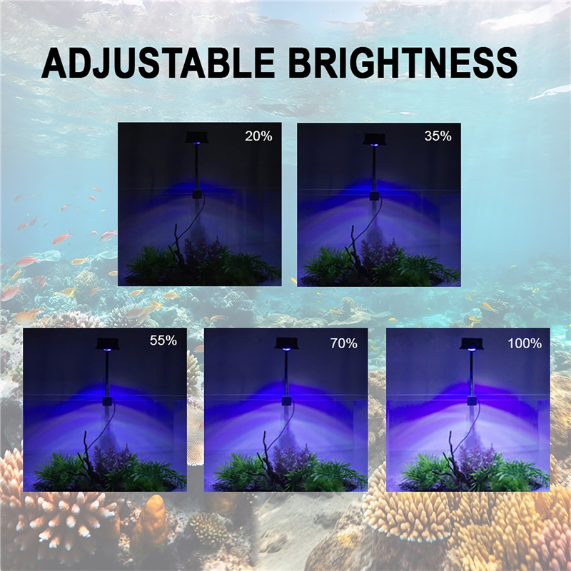 30W Aquarium Fish Tank Sea Wat - огляд і ціна Aquarium Plant Iron