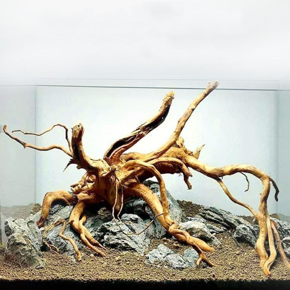 20-25CM Large Aquarium Driftwo - огляд і ціна Aquarium Planted Wood