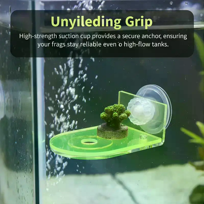 1Pcs Coral Rack Marine Reef St - огляд і ціна Aquarium Plant Holder