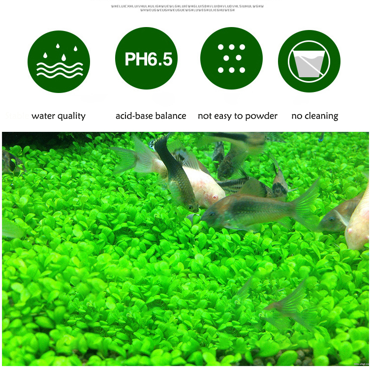 Aquarium Plant Seeds Soil Fish - огляд і ціна Aquarium Planted Tank