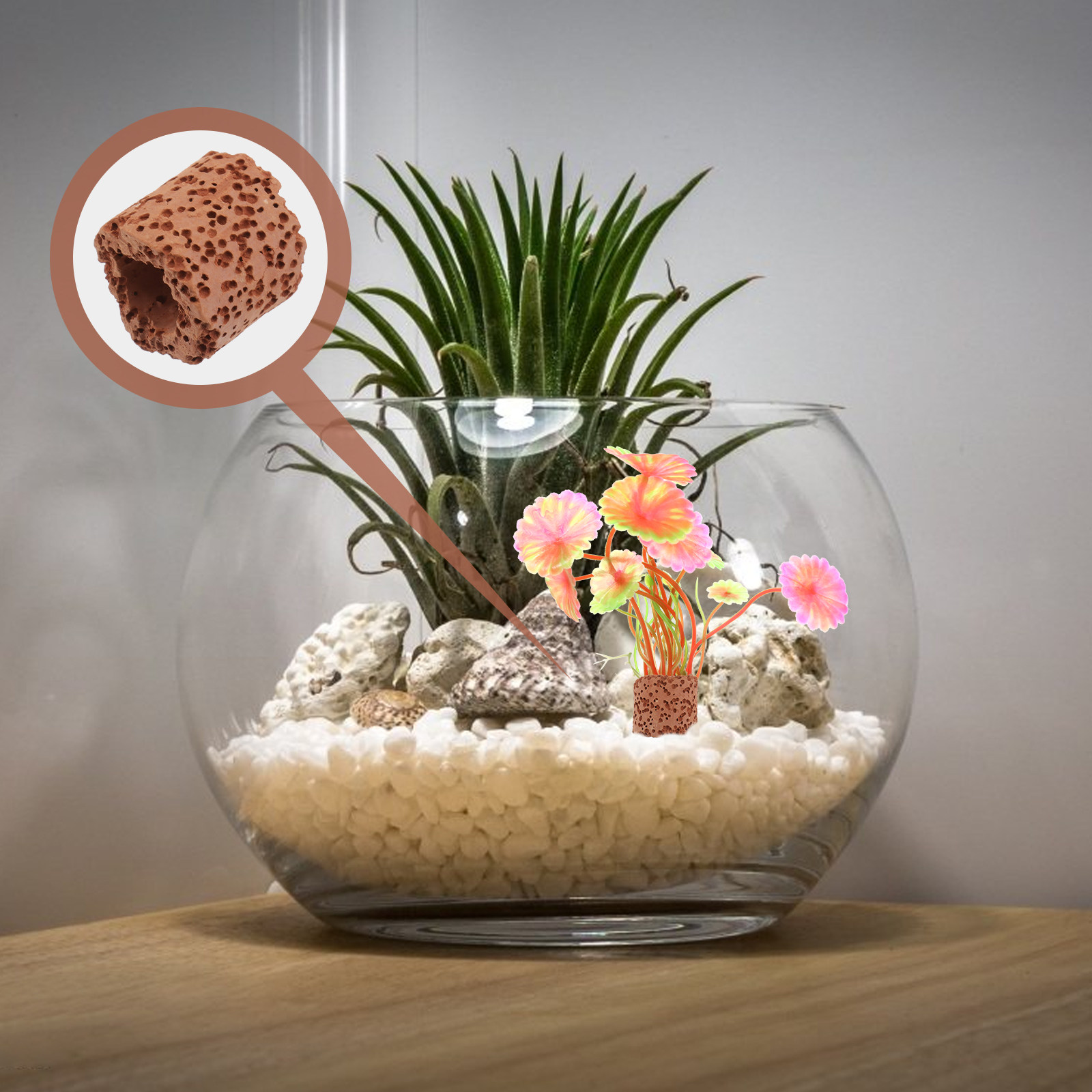 10Pcs Water Plant Fixed Ring S - огляд і ціна Aquarium Planted Tank