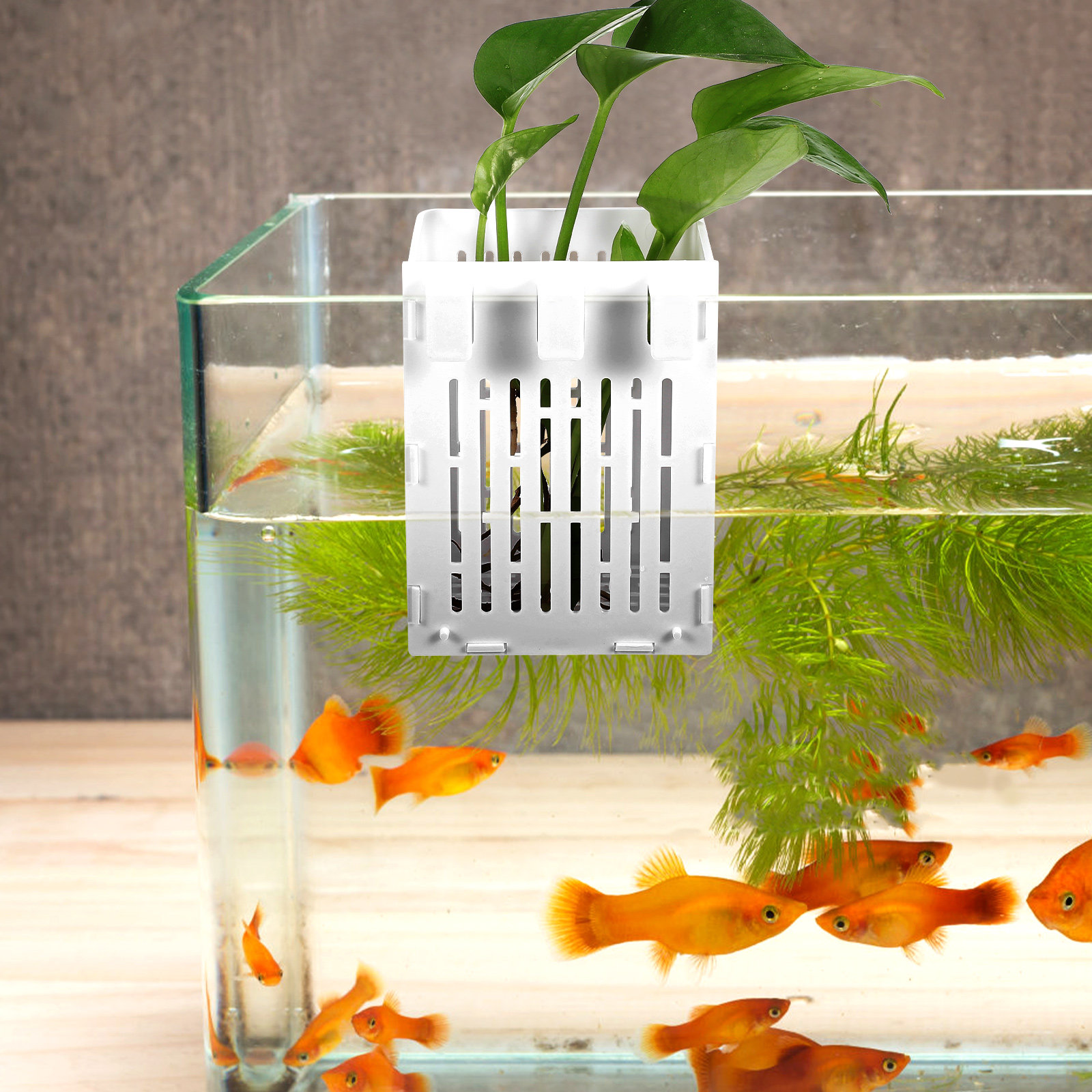 2Pcs Aquatic Plant Basket Hang - огляд і ціна Aquarium Planted Set Up