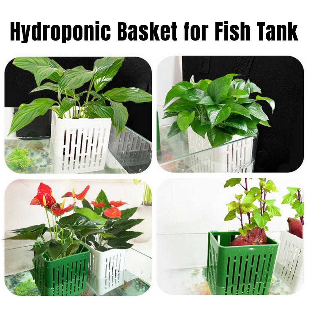 Hanging Aquarium Plant Holder  - огляд і ціна Aquarium Plant Holder
