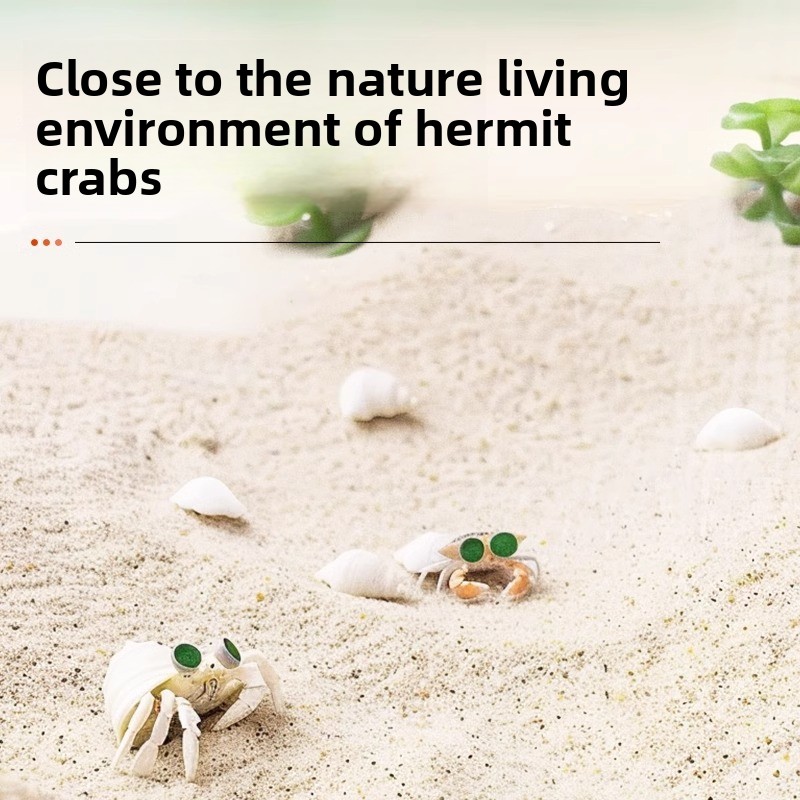 FKSC Hermit Crab Sand & Aquari - огляд і ціна Aquarium Sand White