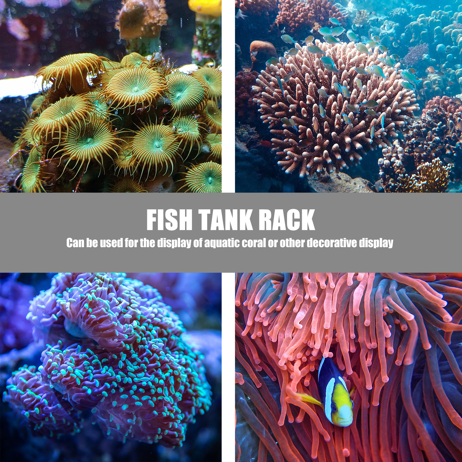 1Pcs Coral Base Stylish Strong - огляд і ціна Aquarium Planted Set Up