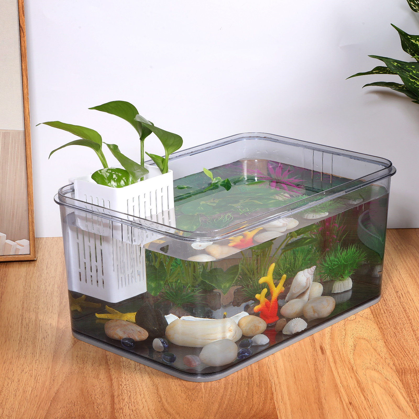2Pcs Hanging Aquarium Planter  - огляд і ціна Aquarium Planted Set Up